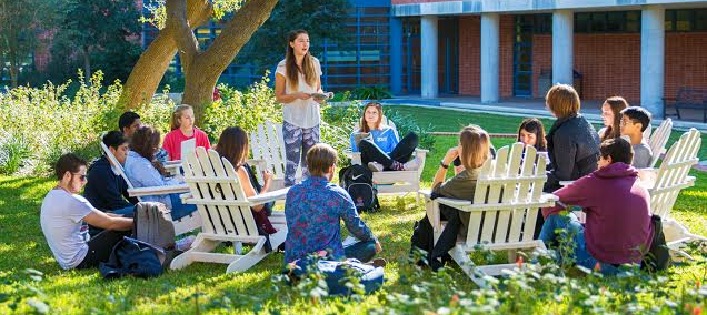 Students outdoors at the Trinity University campus having a discussion
