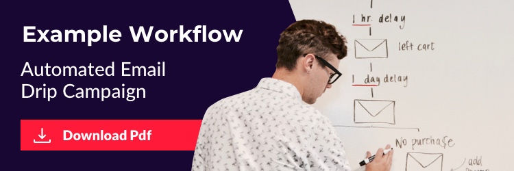 Download our workflow example