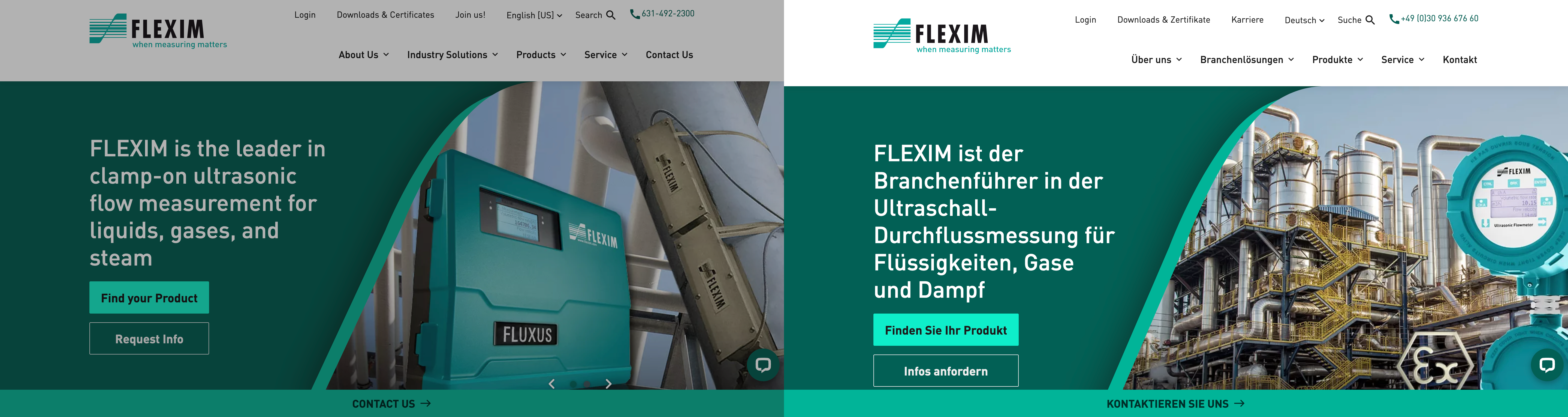 Flexim multilingual site