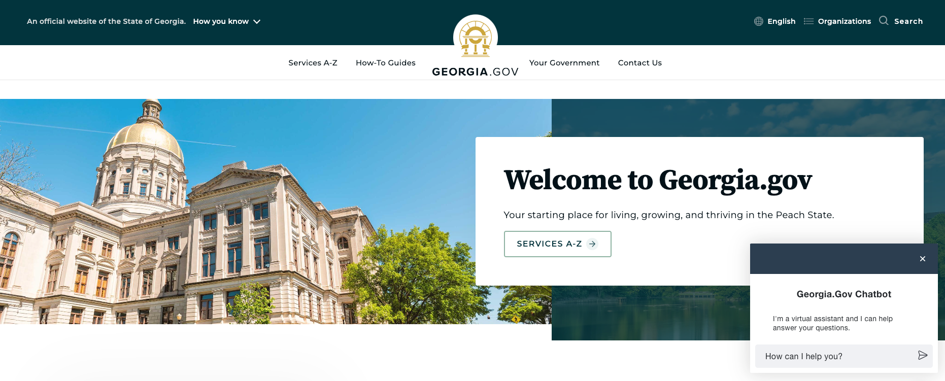 Georgia gov website