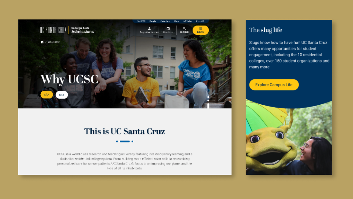 The UC Santa Cruz website.