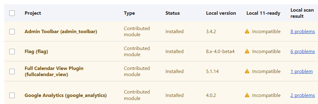 The discovered issues listed for the local scan result.