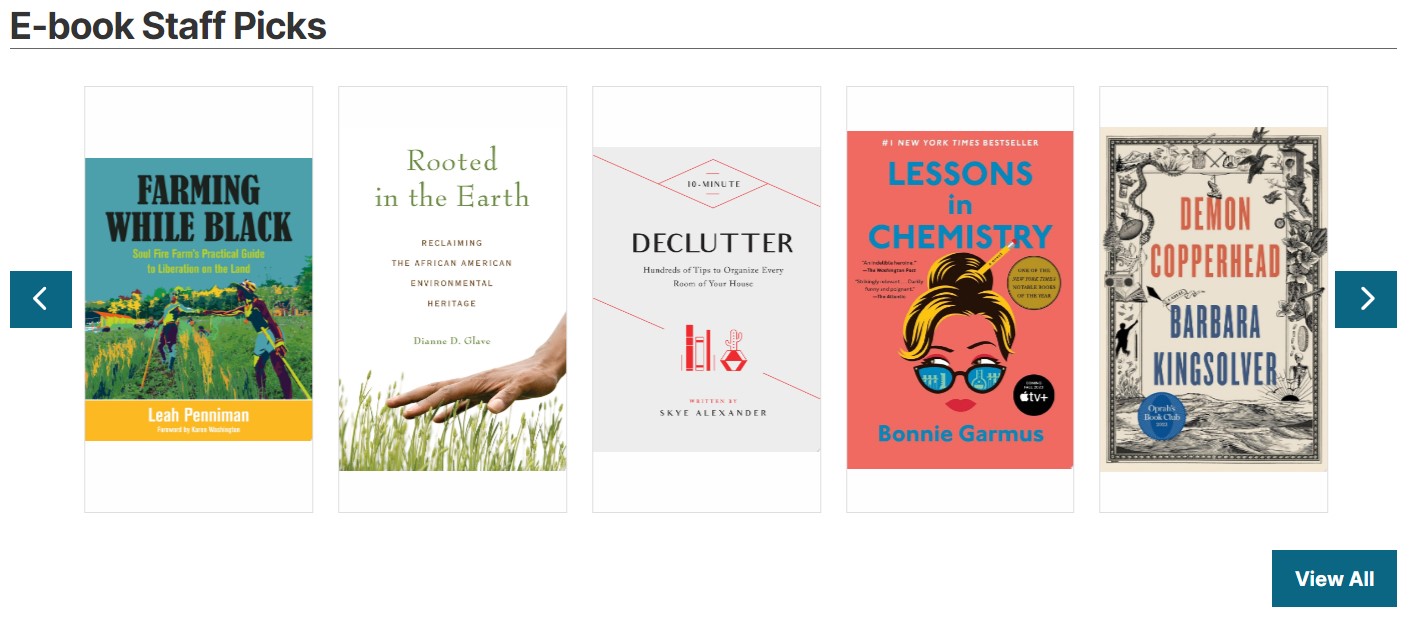 The “E-Book Staff Picks” collection on Yonkers Public Library’s Drupal website.