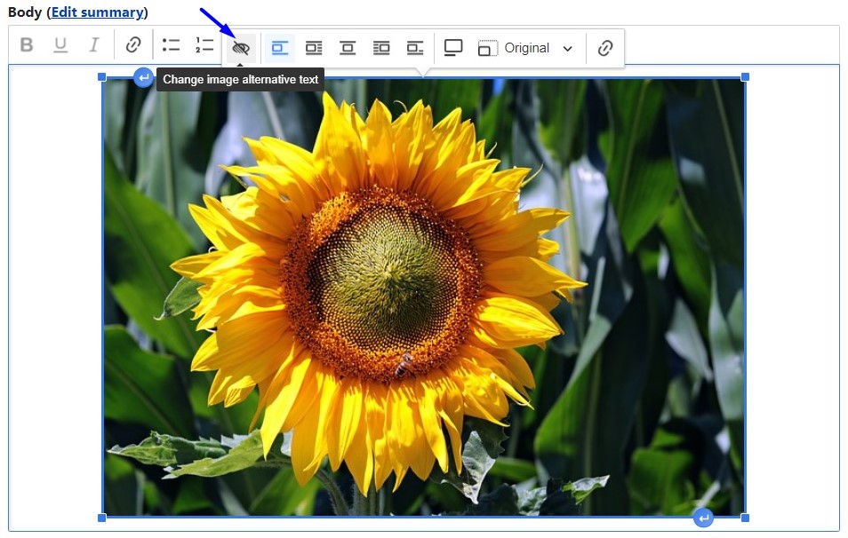 Editing alt text via the dedicated toolbar for images in CKEditor 5.