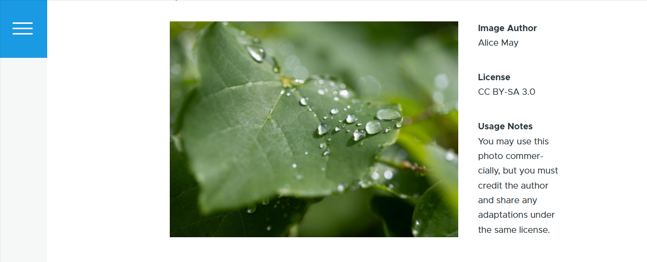 An example of the Image Author, License, and Usage Notes fields for Drupal content