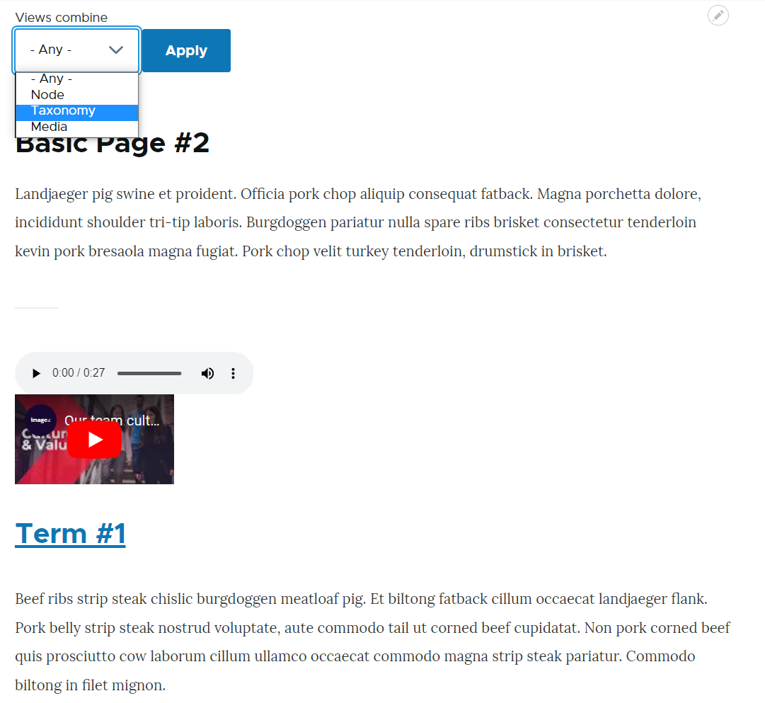 Guide to using modules for Drupal Views contributed by our devs