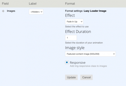 The “Lazy Loader Image” format for the image field.