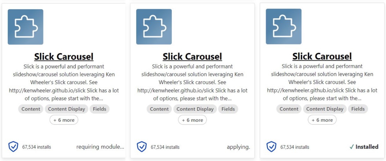 A collage of the module installation progress steps in Project Browser.