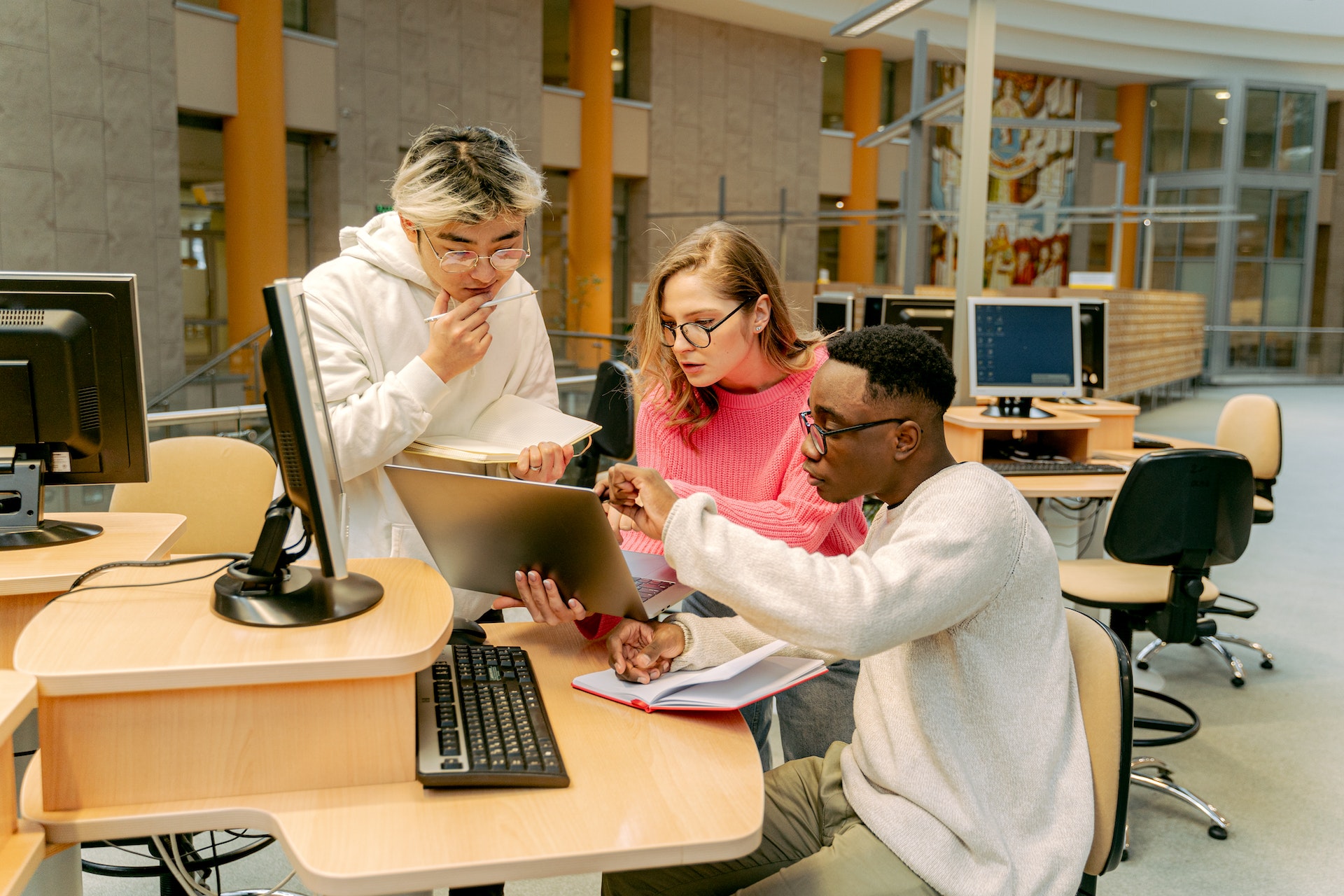 Students studying in library