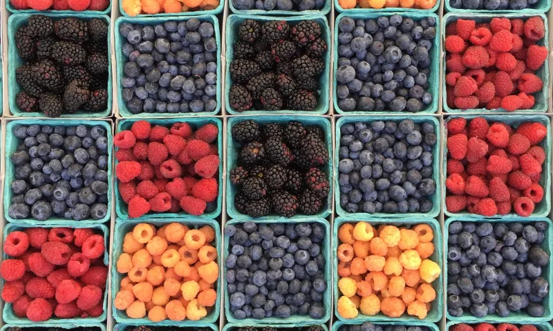 assorted berries