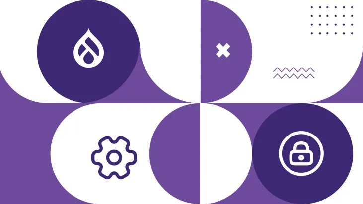 Ongoing website security and maintenance