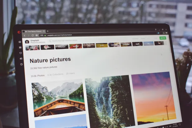 choosing images