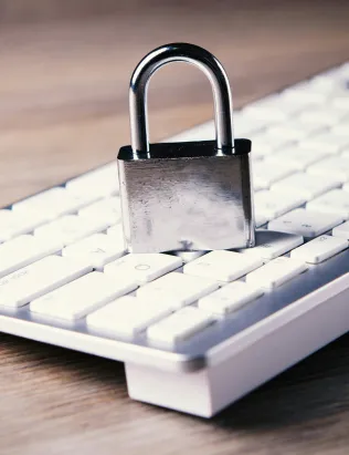 intellectual property protection