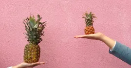 Different sized pineapples