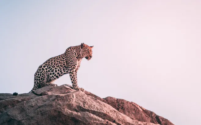 speed up your website