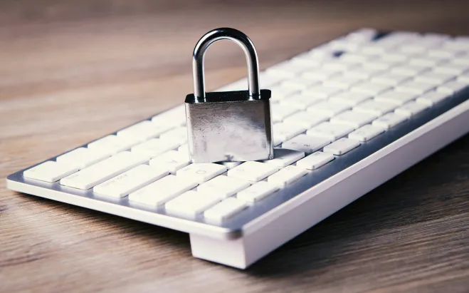 intellectual property protection