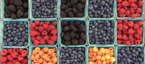 assorted berries