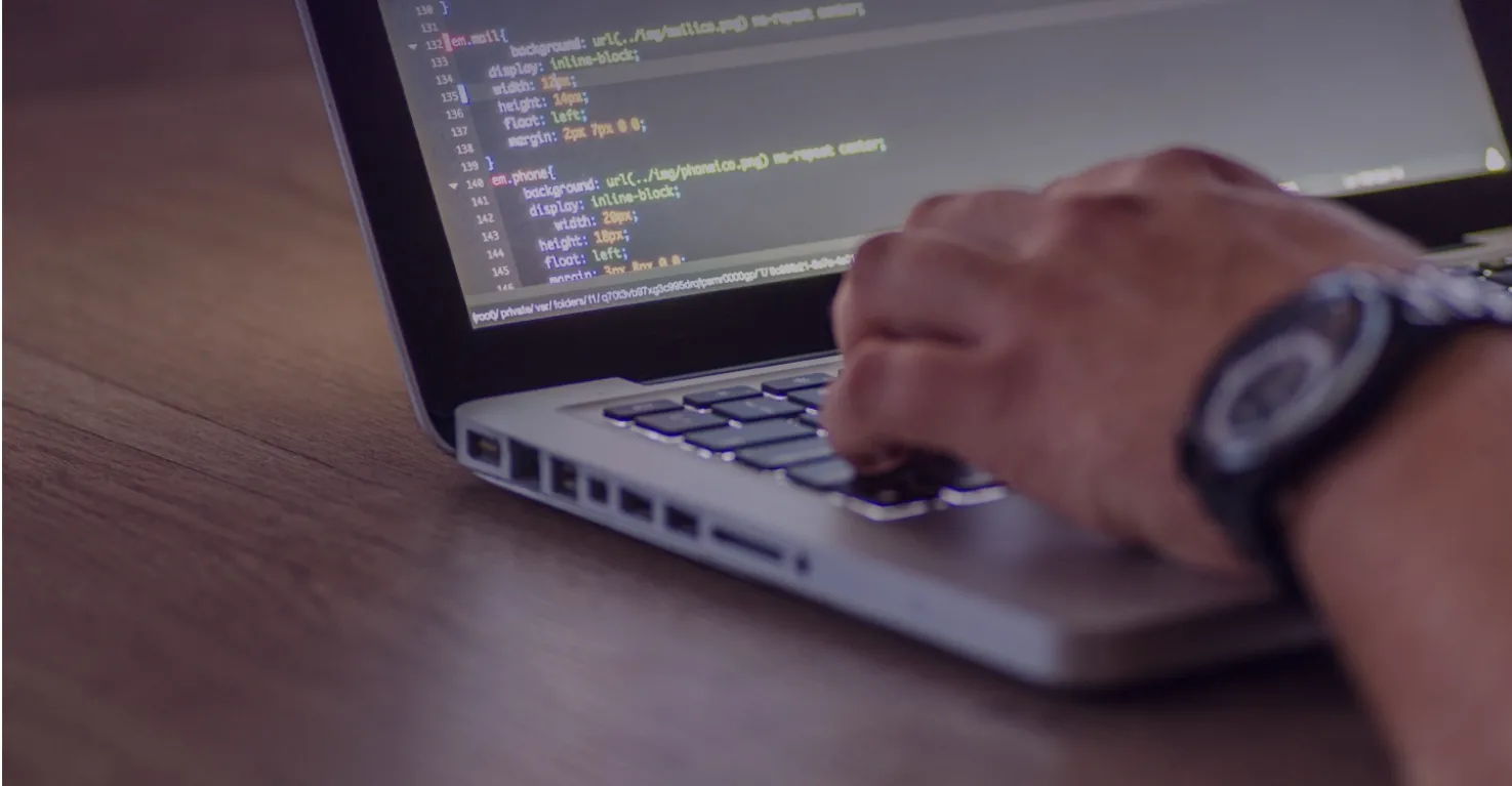 Web Development Services