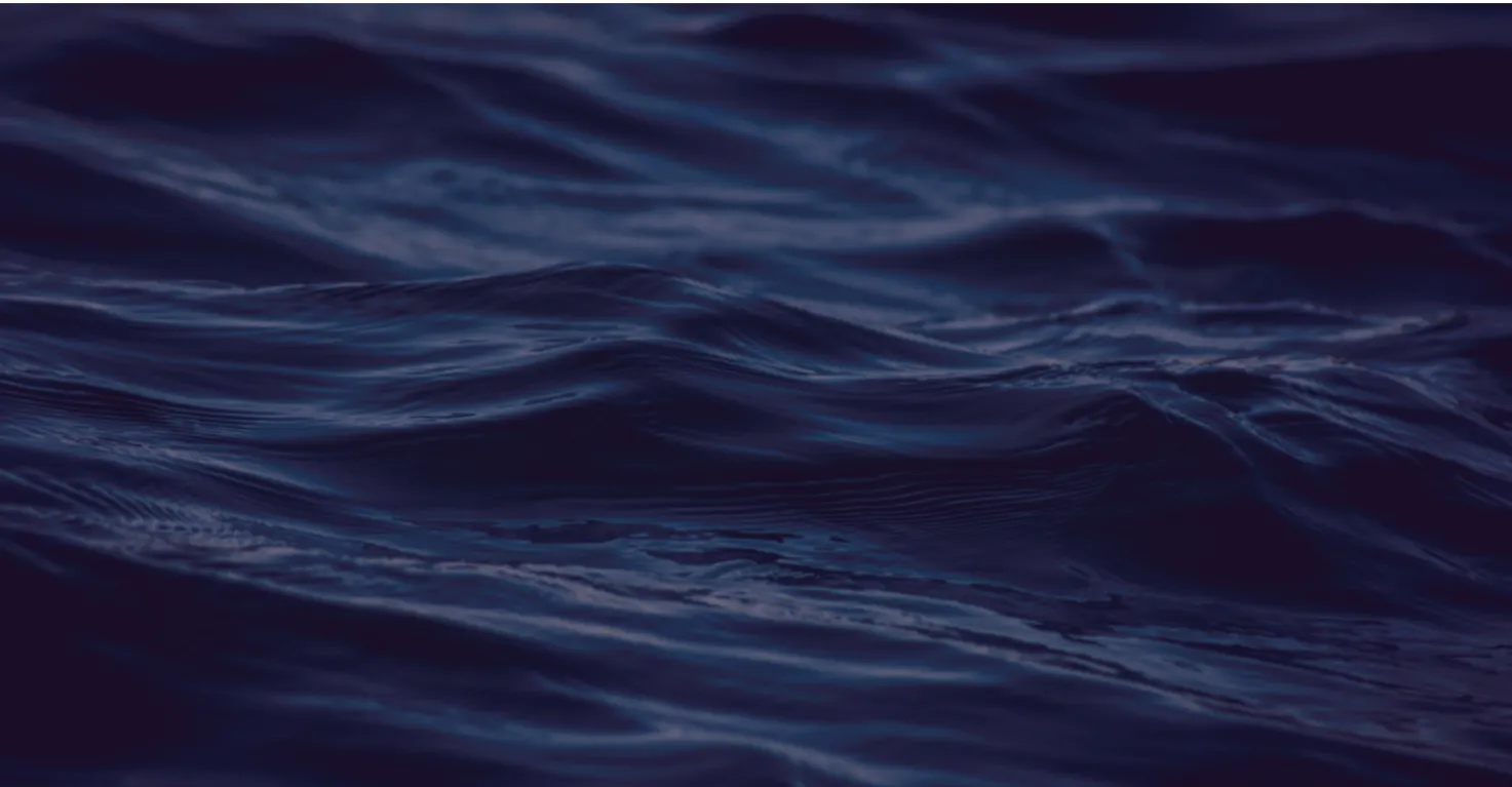 Why ImageX Specializes in Drupal