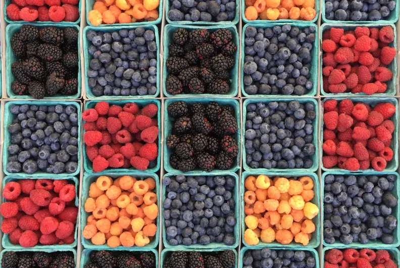 assorted berries