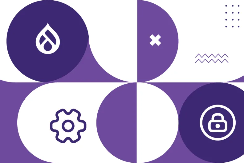 Ongoing website security and maintenance