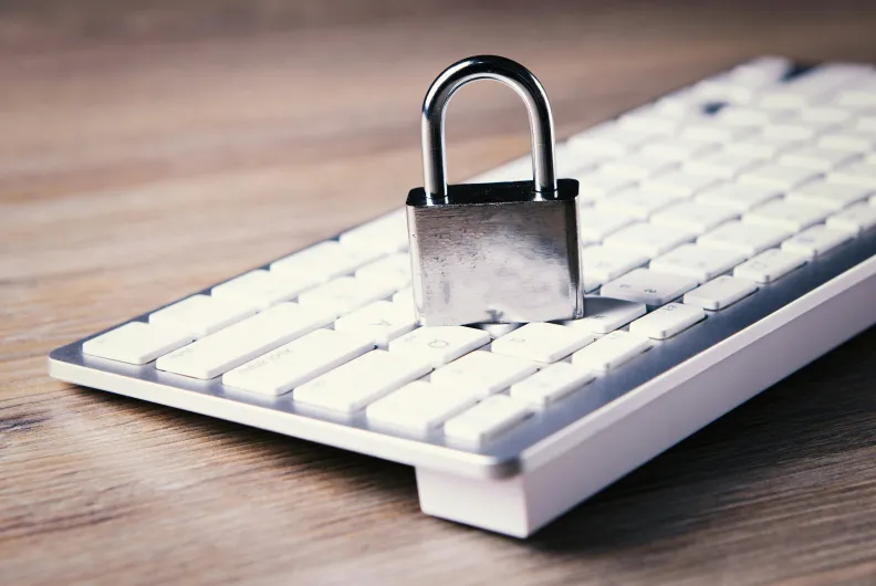 intellectual property protection